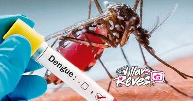 Pilas: se confirman 84 casos de dengue en Villavicencio
