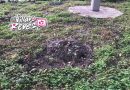 ¡El colmo! vandalizan el mejoramiento del Parque Infantil en Villavicencio