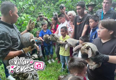 Niños de la comuna 4 de Villavicencio compartieron la liberación de 23 especies organizada por Cormacarena